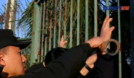 1559093434357163.gif